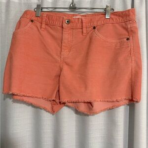 Carve Designs Oahu Shorts